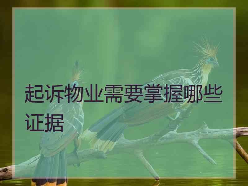 起诉物业需要掌握哪些证据