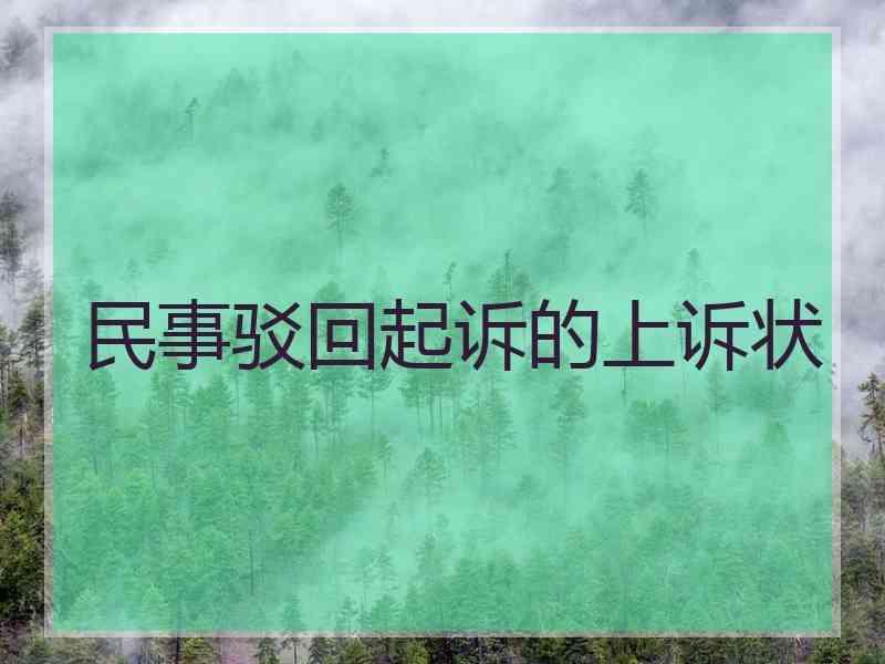 民事驳回起诉的上诉状