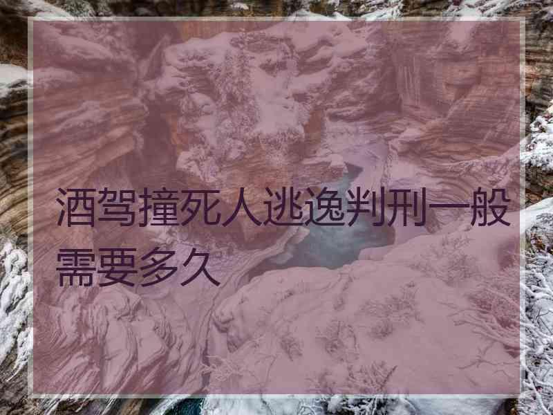 酒驾撞死人逃逸判刑一般需要多久