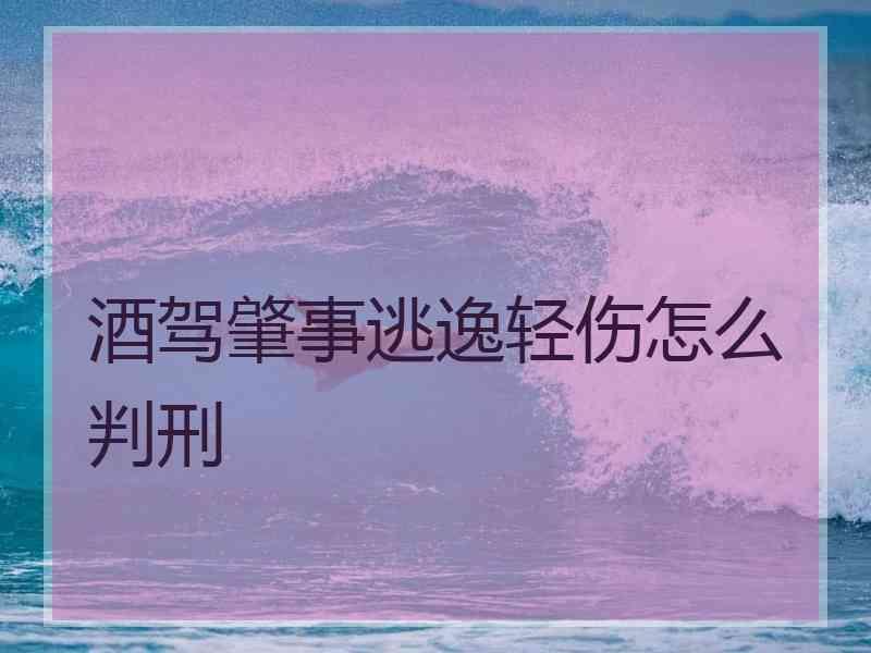 酒驾肇事逃逸轻伤怎么判刑