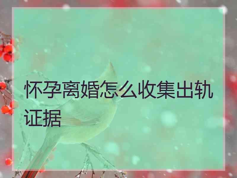 怀孕离婚怎么收集出轨证据