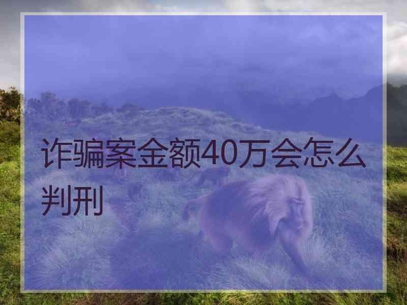 诈骗案金额40万会怎么判刑