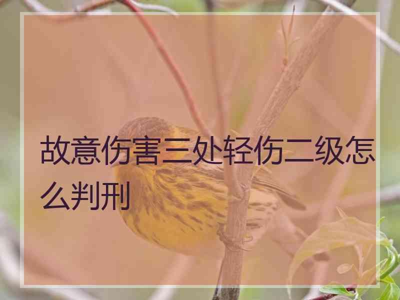 故意伤害三处轻伤二级怎么判刑