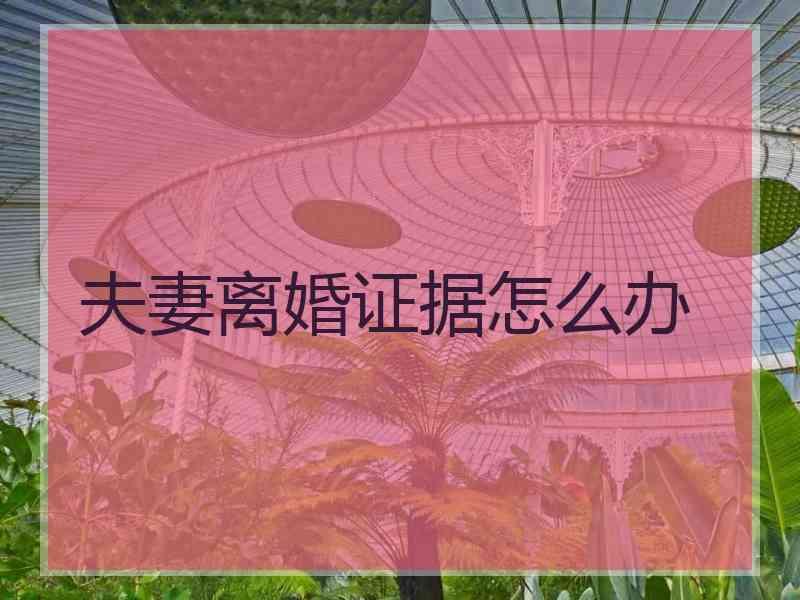 夫妻离婚证据怎么办