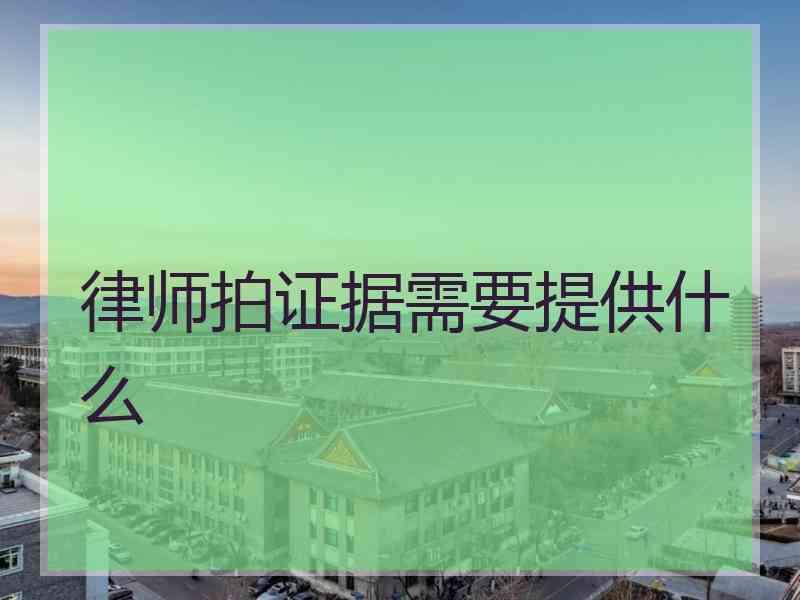 律师拍证据需要提供什么