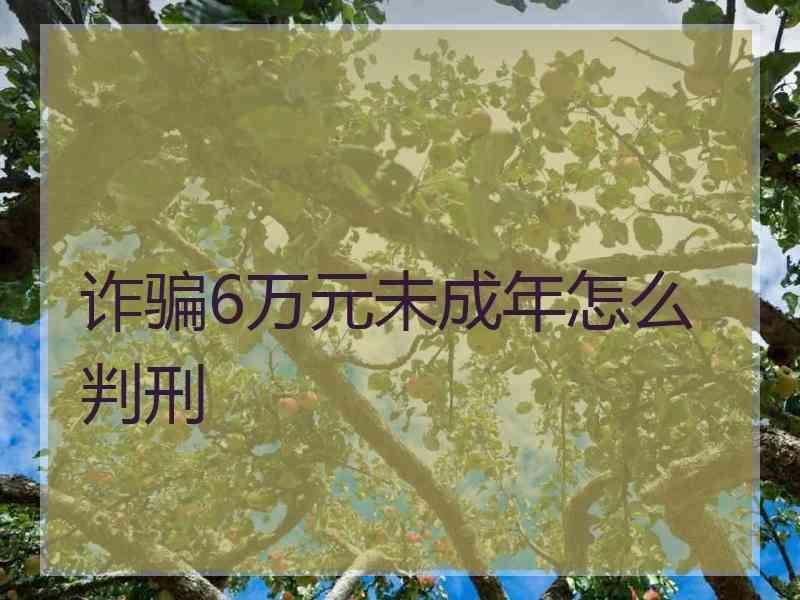 诈骗6万元未成年怎么判刑