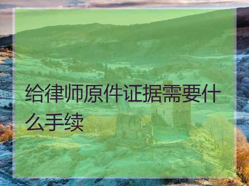 给律师原件证据需要什么手续