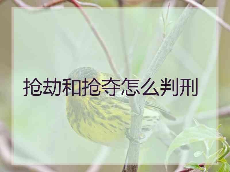 抢劫和抢夺怎么判刑