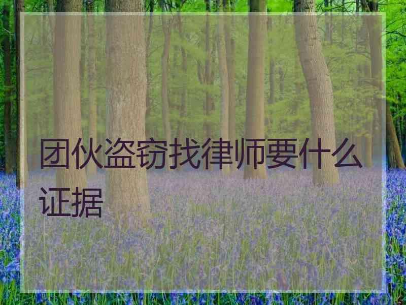 团伙盗窃找律师要什么证据