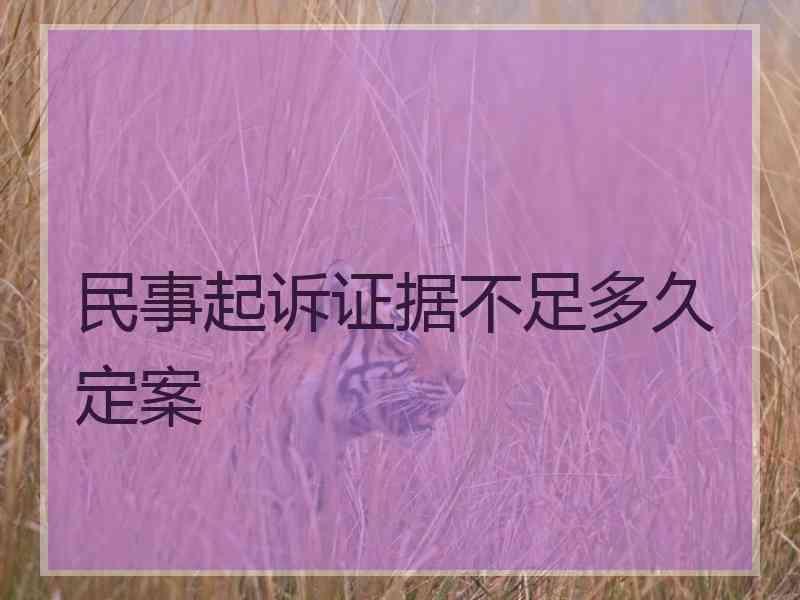 民事起诉证据不足多久定案