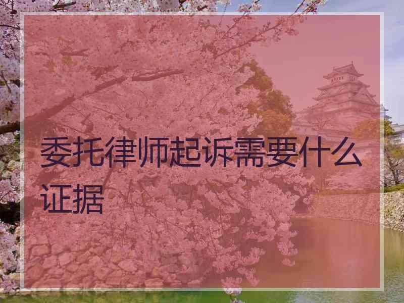 委托律师起诉需要什么证据