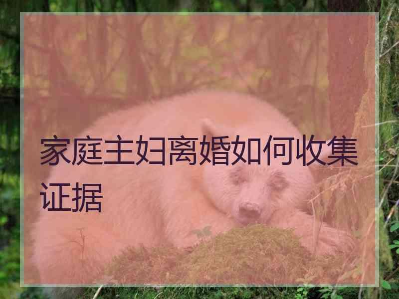 家庭主妇离婚如何收集证据