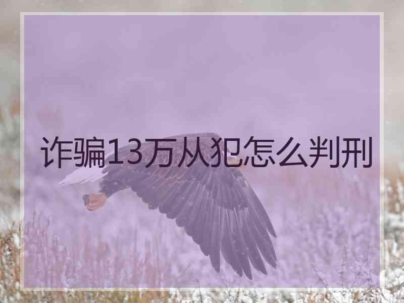 诈骗13万从犯怎么判刑