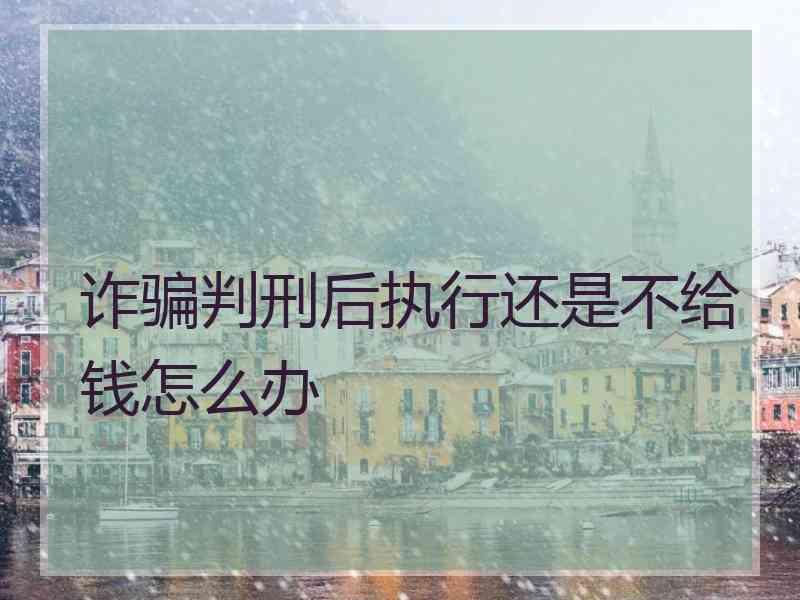诈骗判刑后执行还是不给钱怎么办