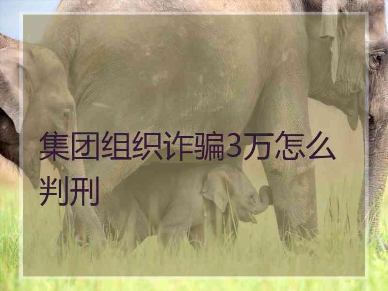 集团组织诈骗3万怎么判刑