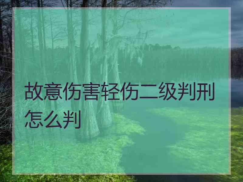 故意伤害轻伤二级判刑怎么判