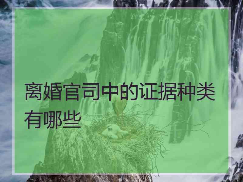 离婚官司中的证据种类有哪些