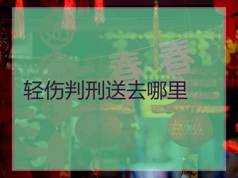 轻伤判刑送去哪里