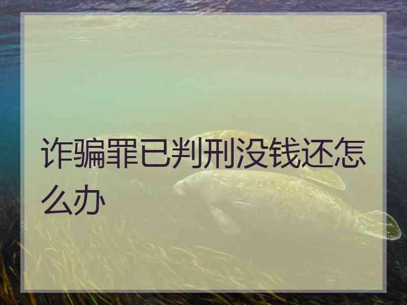 诈骗罪已判刑没钱还怎么办