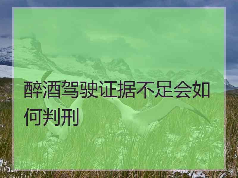 醉酒驾驶证据不足会如何判刑