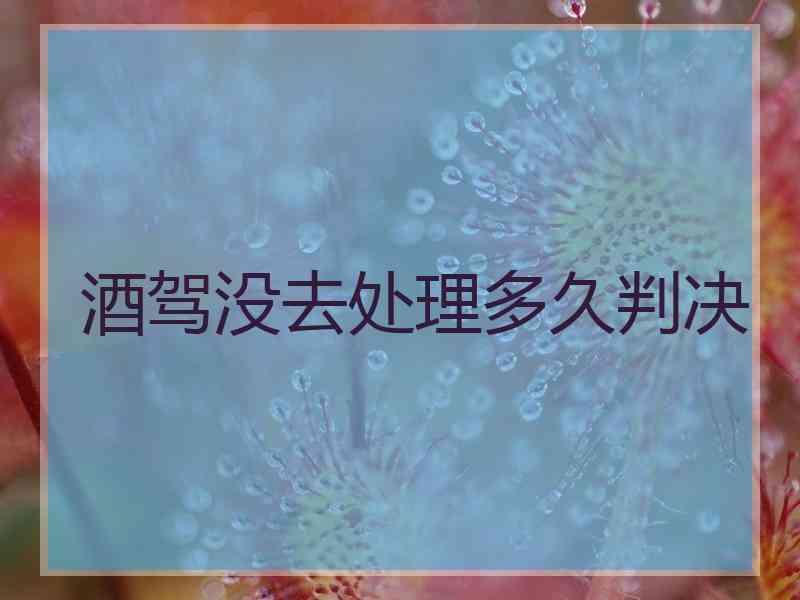 酒驾没去处理多久判决