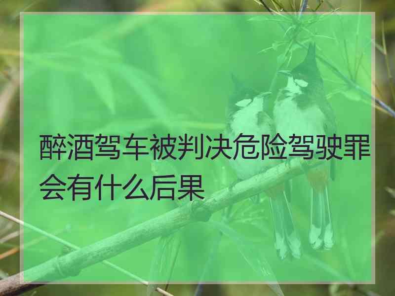 醉酒驾车被判决危险驾驶罪会有什么后果