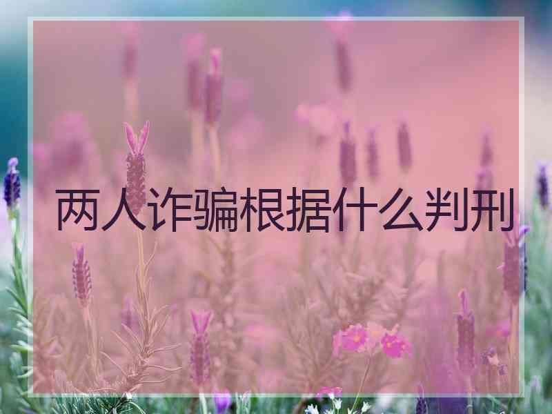 两人诈骗根据什么判刑
