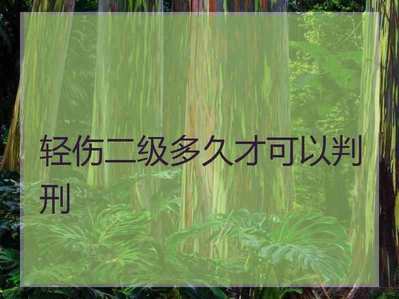 轻伤二级多久才可以判刑