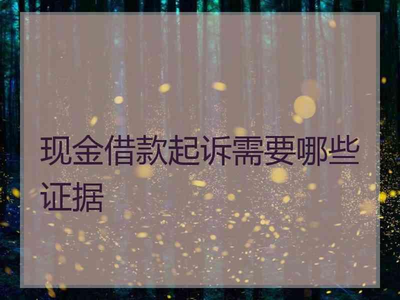 现金借款起诉需要哪些证据