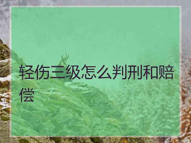 轻伤三级怎么判刑和赔偿