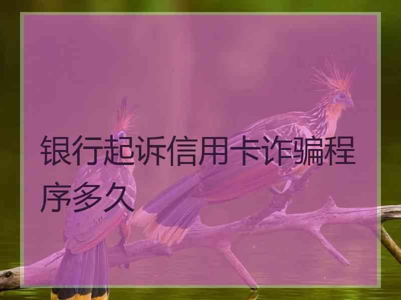 银行起诉信用卡诈骗程序多久