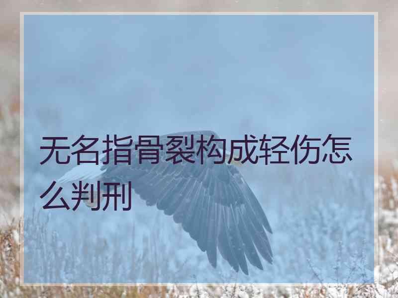 无名指骨裂构成轻伤怎么判刑