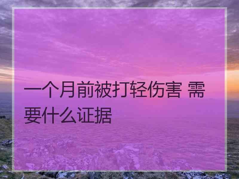 一个月前被打轻伤害 需要什么证据