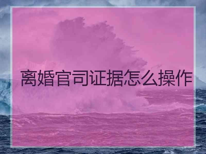 离婚官司证据怎么操作