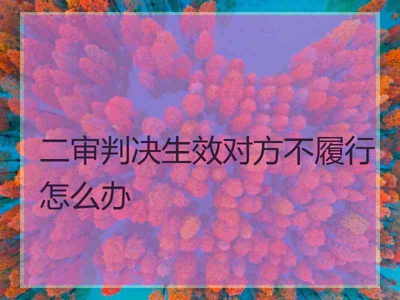 二审判决生效对方不履行怎么办