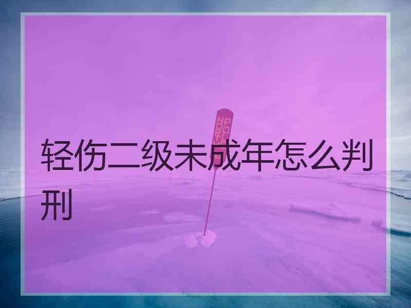 轻伤二级未成年怎么判刑
