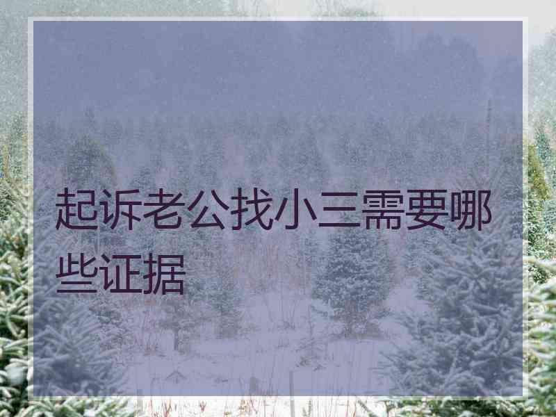 起诉老公找小三需要哪些证据