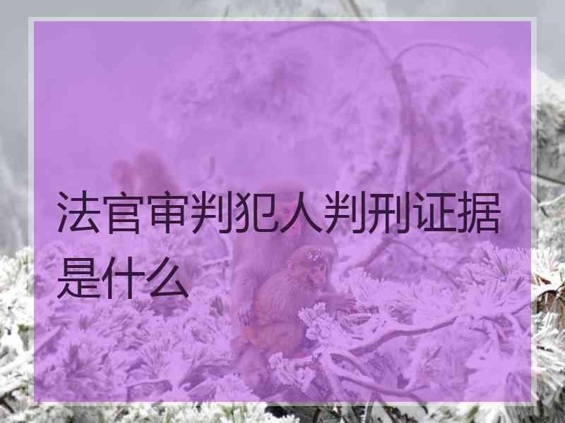 法官审判犯人判刑证据是什么