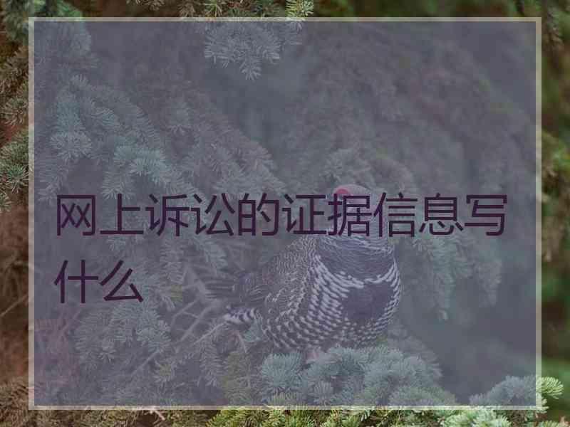网上诉讼的证据信息写什么