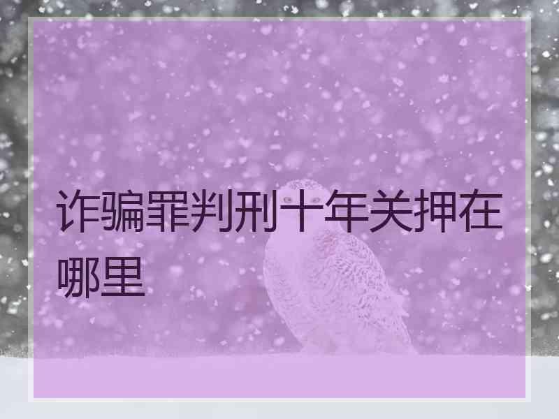 诈骗罪判刑十年关押在哪里