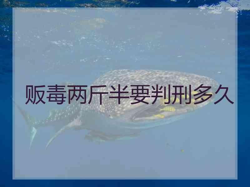 贩毒两斤半要判刑多久