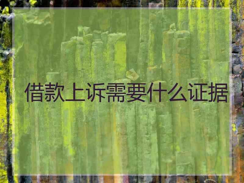 借款上诉需要什么证据