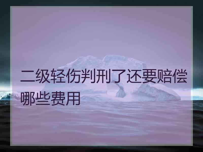二级轻伤判刑了还要赔偿哪些费用