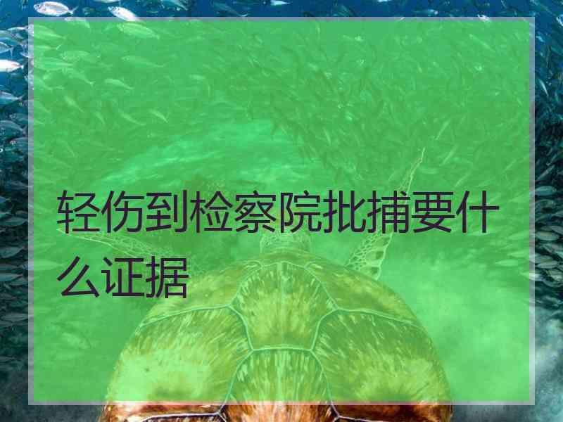 轻伤到检察院批捕要什么证据