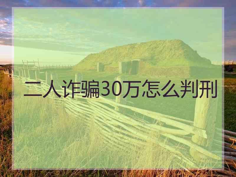 二人诈骗30万怎么判刑
