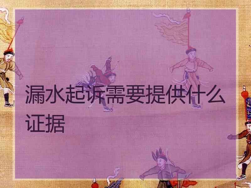 漏水起诉需要提供什么证据