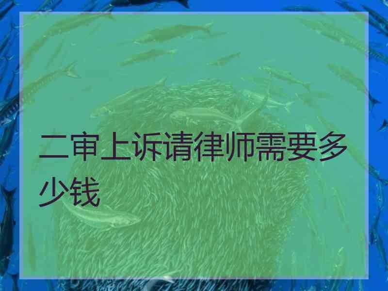 二审上诉请律师需要多少钱