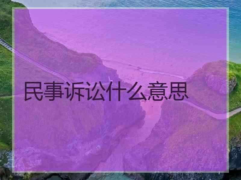 民事诉讼什么意思