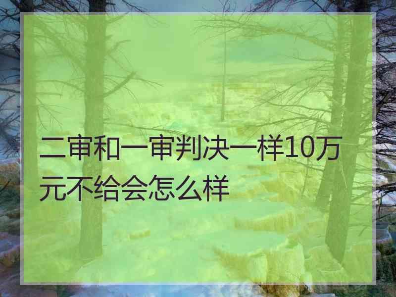 二审和一审判决一样10万元不给会怎么样