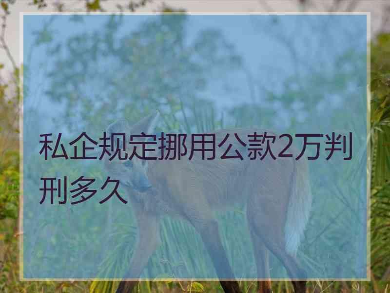 私企规定挪用公款2万判刑多久